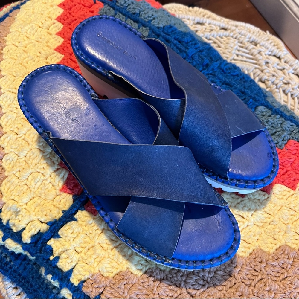 Chocolat Blu Madison Sandal in Sky Blue Platform Sandals Size 40 / US 10